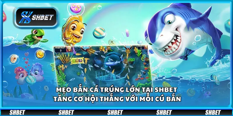 Mẹo bắn cá trúng lớn tại Shbet – Tăng cơ hội thắng với mỗi cú bắn